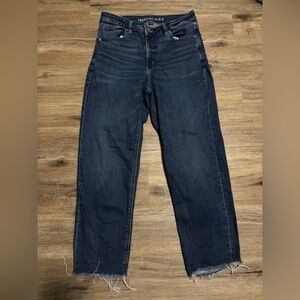 American Eagle Stretch Mom Straight Jean